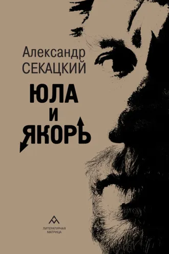 Обложка книги «Юла и якорь. Опыт альтеративной метафизики»