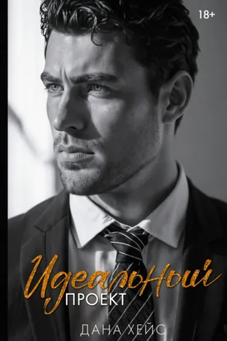 Обложка книги «Идеальный проект»