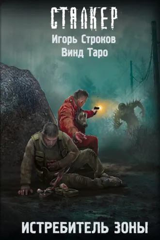 Обложка книги «Истребитель Зоны»
