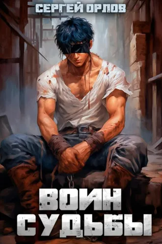 Обложка книги «Воин Судьбы»