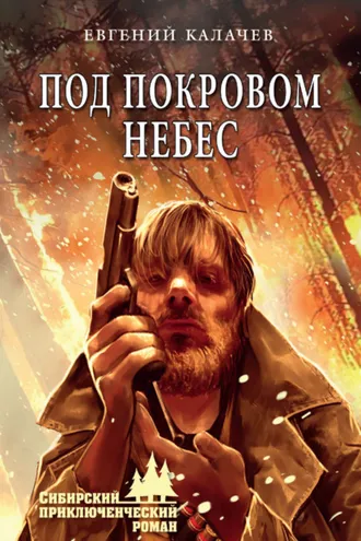 Обложка книги «Под покровом небес»