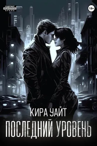 Обложка книги «Последний уровень»