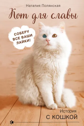 Обложка книги «Кот для славы»