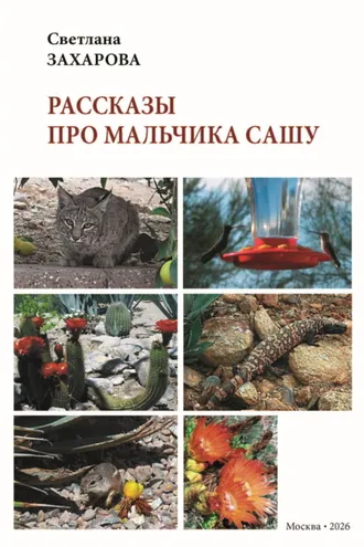 Обложка книги «Рассказы про мальчика Сашу»