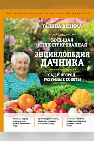 Обложка книги «Большая иллюстрированная энциклопедия дачника. Сад и огород. Разумные советы»