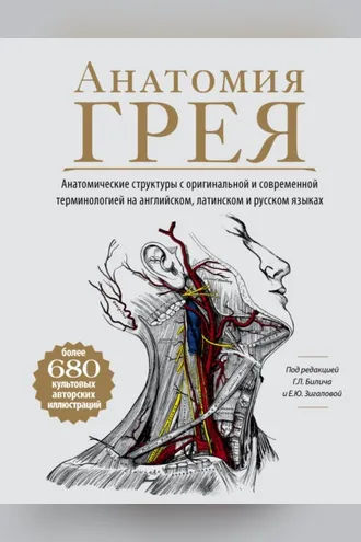 Обложка книги «Анатомия Грея. Анатомические структуры с оригинальной и современной терминологией на английском, латинском и русском языках»