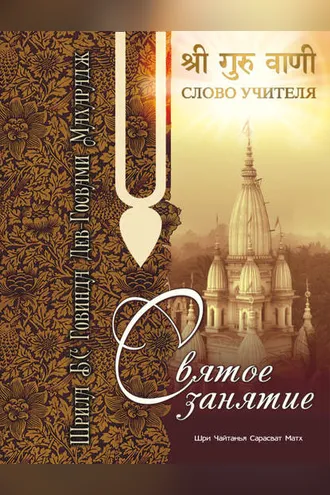 Обложка книги «Святое занятие»
