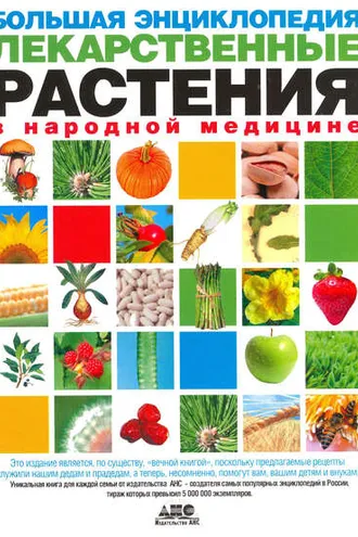 Обложка книги «Большая энциклопедия. Лекарственные растения в народной медицине»