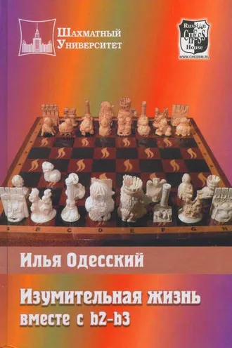 Обложка книги «Изумительная жизнь вместе с b2-b3»