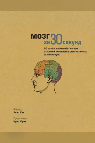 Обложка книги «Мозг за 30 секунд»
