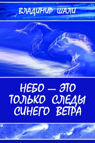 Обложка книги «Небо – это только следы синего ветра»
