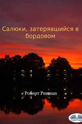 Обложка книги «Салюки, Затерявшийся В Бордовом»