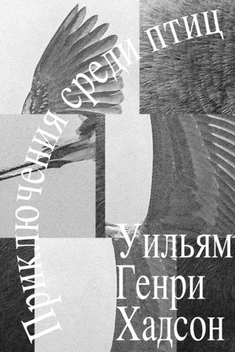 Обложка книги «Приключения среди птиц»