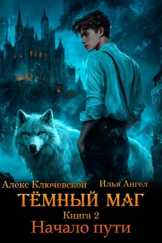 Обложка книги «Тёмный маг. Книга 2. Начало пути»