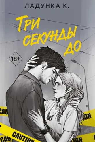 Обложка книги «Три секунды до»