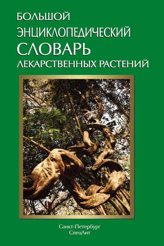 Обложка книги «Большой энциклопедический словарь лекарственных растений»
