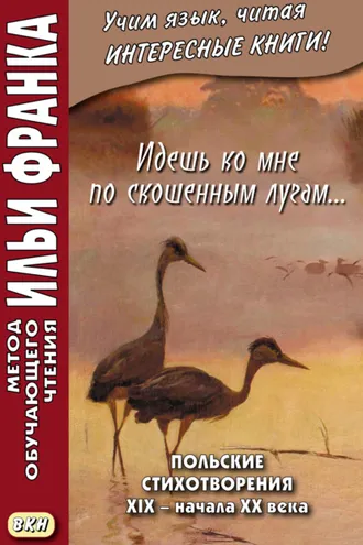Обложка книги «Идешь ко мне по скошенным лугам… Польские стихотворения XIX – начала XX века»
