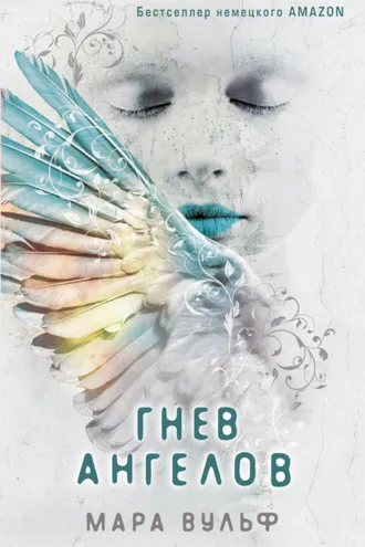Обложка книги «Гнев ангелов»