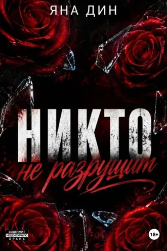 Обложка книги «Никто не разрушит»