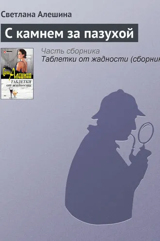 Обложка книги «С камнем за пазухой»