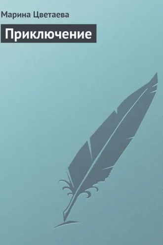 Обложка книги «Приключение»