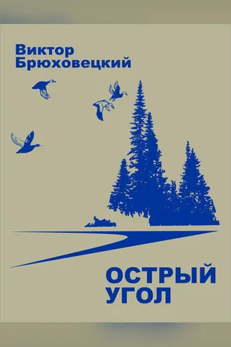 Обложка книги «Острый угол»