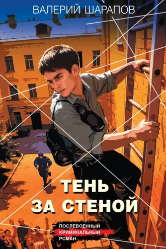 Обложка книги «Тень за стеной»