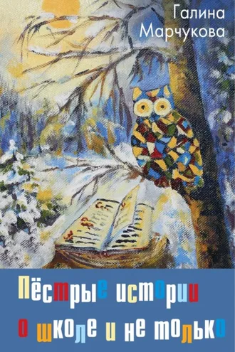 Обложка книги «Пёстрые истории о школе и не только…»