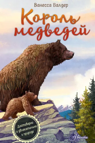 Обложка книги «Король медведей»