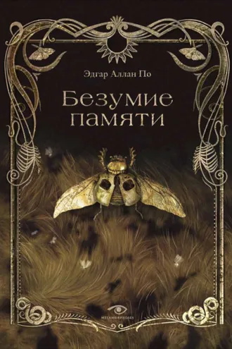 Обложка книги «Безумие памяти»