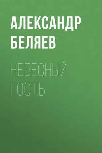Обложка книги «Небесный гость»