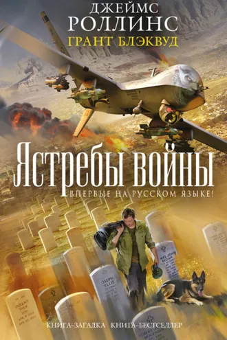 Обложка книги «Ястребы войны»