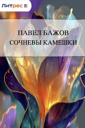 Обложка книги «Сочневы камешки»