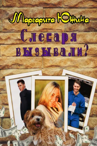 Обложка книги «Слесаря вызывали?»