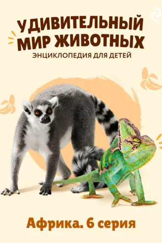Обложка книги «Удивительный мир животных. Африка. 6 серия»