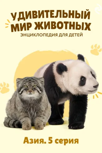 Обложка книги «Удивительный мир животных. Азия. 5 серия»