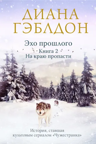 Обложка книги «Эхо прошлого. Книга 2. На краю пропасти»