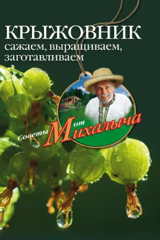 Обложка книги «Крыжовник. Сажаем, выращиваем, заготавливаем»