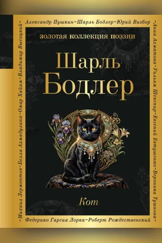 Обложка книги «Кот»