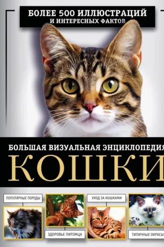 Обложка книги «Кошки. Большая визуальная энциклопедия»