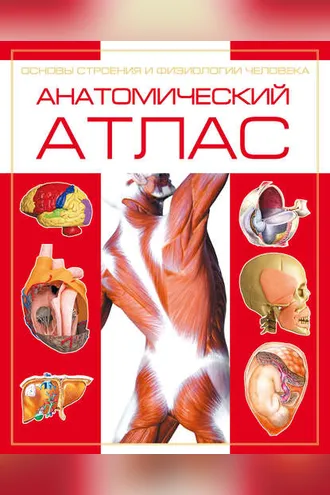 Обложка книги «Анатомический атлас. Основы строения и физиологии человека»