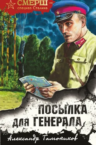 Обложка книги «Посылка для генерала»