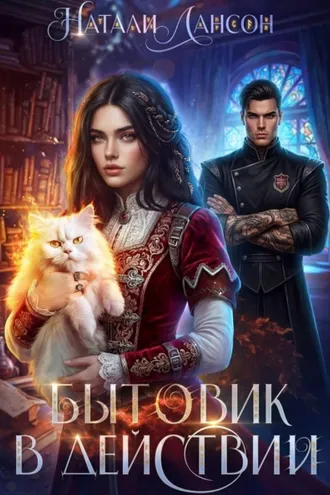 Обложка книги «Бытовик в действии»