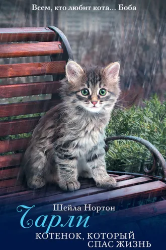 Обложка книги «Чарли. Котенок, который спас жизнь»