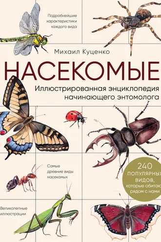 Обложка книги «Насекомые. Иллюстрированная энциклопедия начинающего энтомолога (240 популярных видов, которые обитают рядом с нами)»
