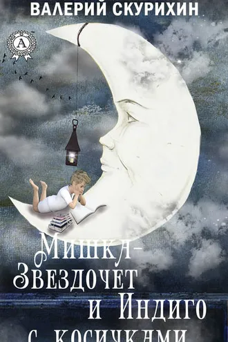 Обложка книги «Мишка-звездочет и индиго с косичками»