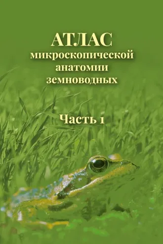 Обложка книги «Атлас микроскопической анатомии земноводных. Часть 1»