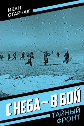 Обложка книги «С неба – в бой»