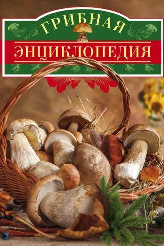 Обложка книги «Грибная энциклопедия»