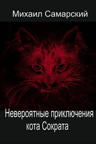 Обложка книги «Невероятные приключения кота Сократа»